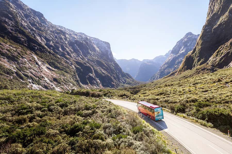 From Queenstown: Milford Sound Day Trip on Premium Coach - Price and value: what $170 buys you (and what to watch)