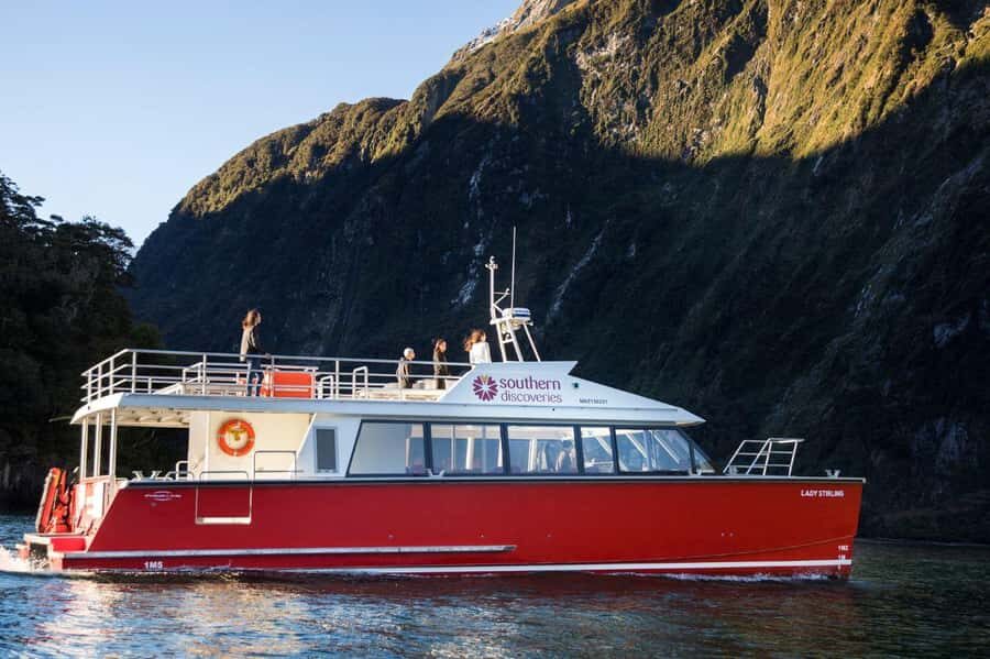 From Queenstown: Milford Sound Flight and Cruise with Lunch - Wildlife odds: fur seals, dolphins, and the penguin chance