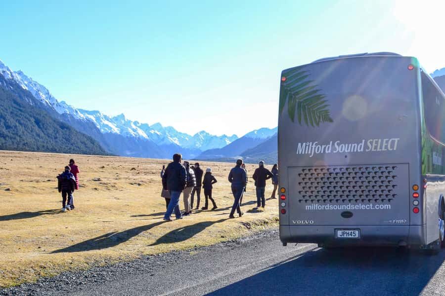 From Queenstown: Milford Sound Premium Day Tour and Cruise - Key highlights to watch for