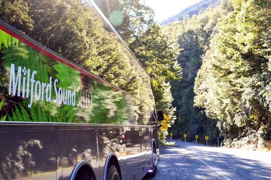 From Queenstown: Milford Sound Premium Day Tour and Cruise - A luxury coach with picture windows to start strong