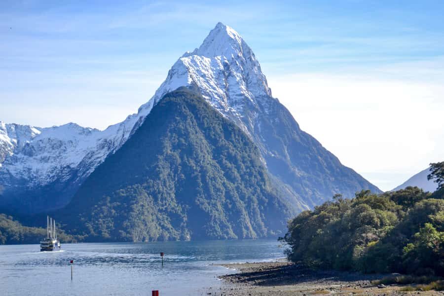 From Queenstown: Milford Sound Premium Day Tour and Cruise - Milford Sound cruise: waterfalls up close and wildlife on the move