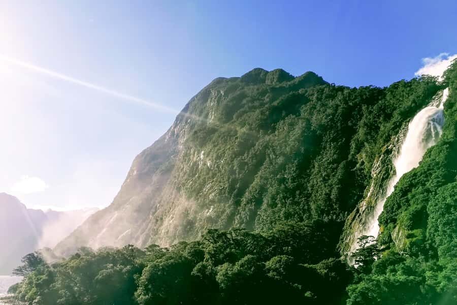 From Queenstown: Milford Sound Premium Day Tour and Cruise - Buying snacks and choosing your comfort level onboard