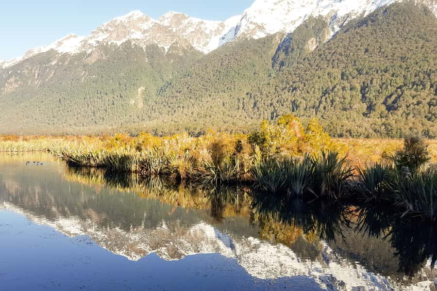 From Queenstown: Milford Sound Premium Day Tour and Cruise - Who should book this Milford Sound Premium day tour