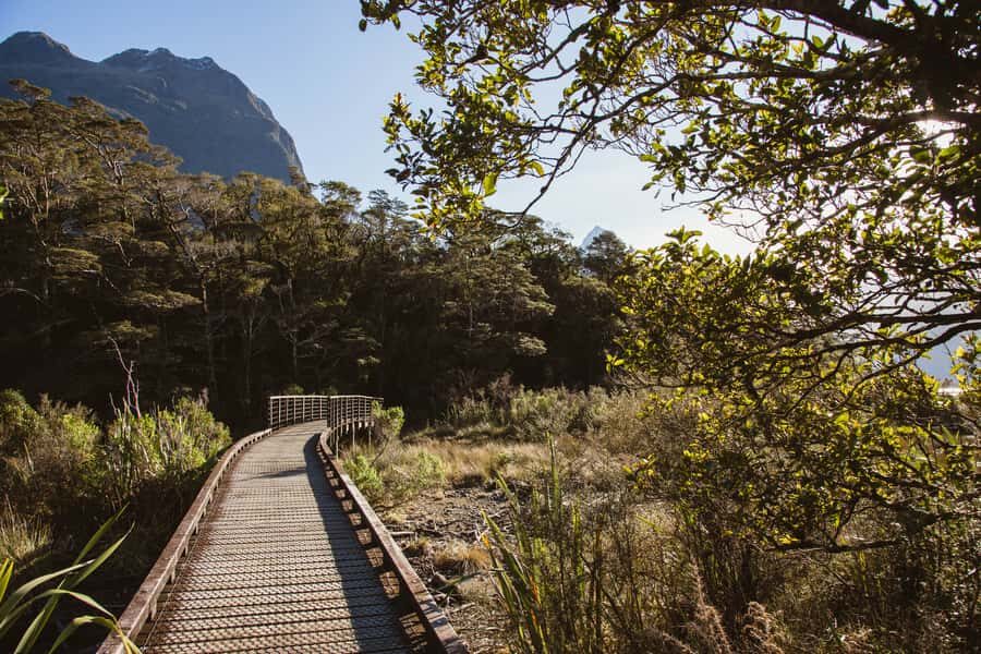 From Queenstown: Milford Sound Scenic Flight & Nature Tour - FAQ