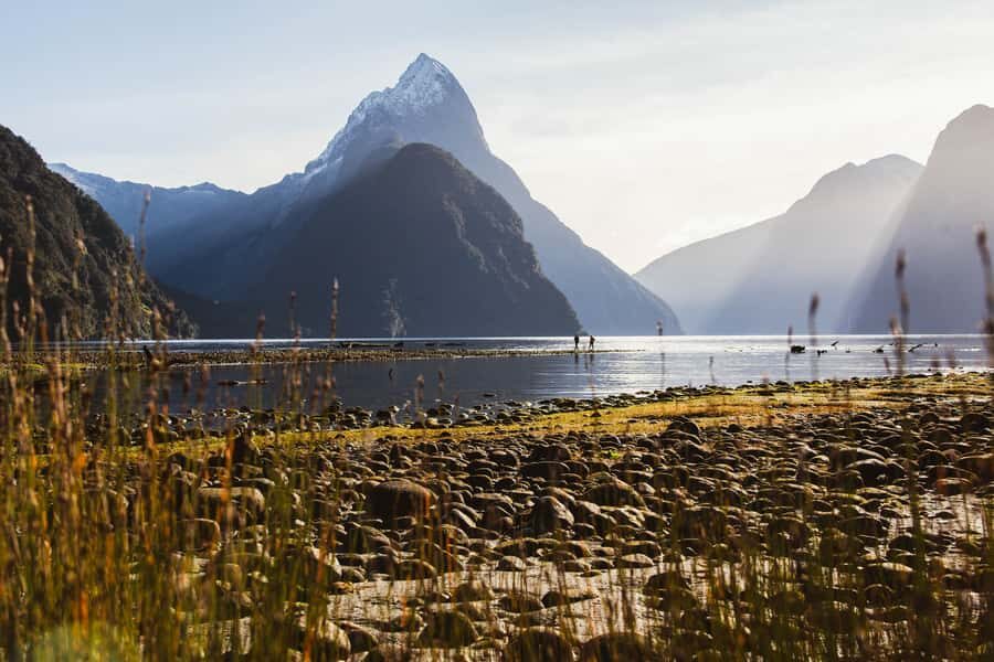 From Queenstown: Milford Sound Scenic Flight & Nature Tour - What to Bring (So Your Day Feels Easy)