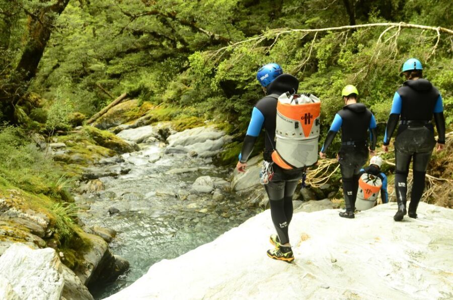From Queenstown: Mount Aspiring Full-Day Canyoning Adventure - Break Times and Photo Stops: Realistic Pacing in the Wild