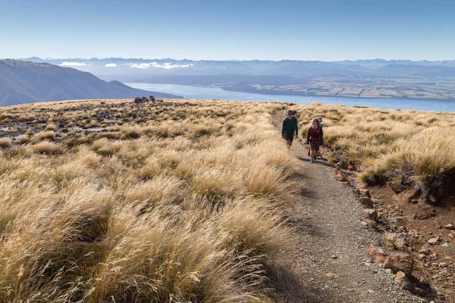 From Te Anau: Full Day Kepler Track Guided Heli-Hike - Key things to know before you go