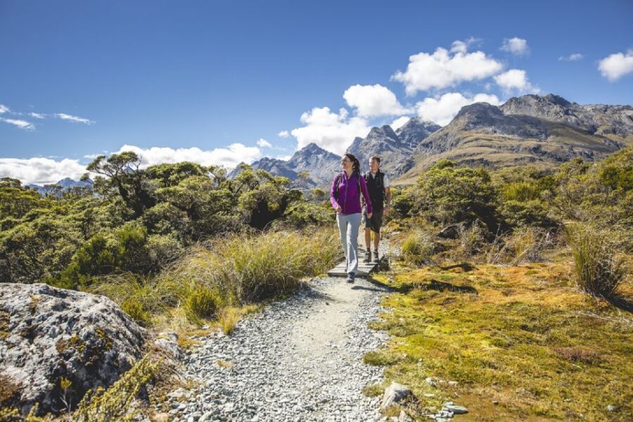 From Te Anau: Milford Sound Coach, Cruise, and Walks - Fiordland National Park walking day: Hollyford Valley, Lake Gunn, Marian Gantry