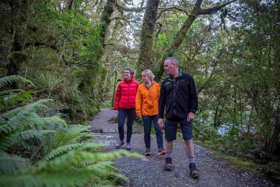 From Te Anau: Milford Sound Coach, Cruise, and Walks - Price and value at $164: what you’re really paying for