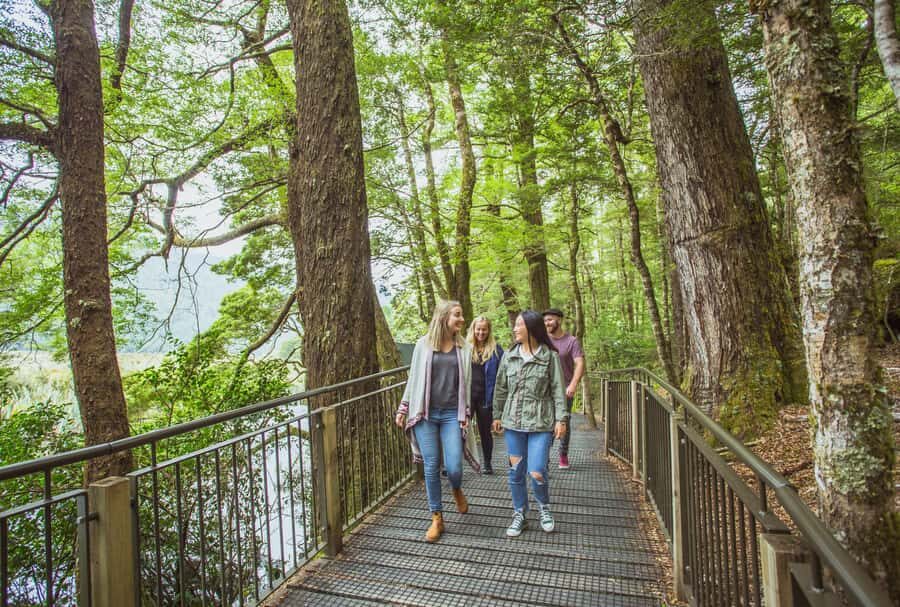 From Te Anau: Milford Sound Coach Tour and Cruise - Price and Value: Is $110 a Smart Milford Day?