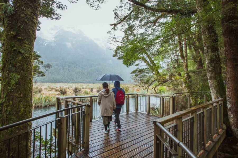 From Te Anau: Milford Sound Coach Tour and Cruise - Boarding the Catamaran at Piopiotahi/Milford Sound