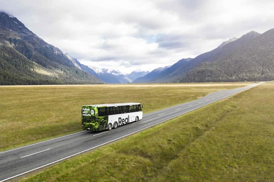From Te Anau: Milford Sound Cruise and Coach Day Trip - Milford Sound from Te Anau: the day-trip setup that actually works