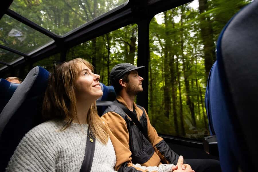 From Te Anau: Milford Sound Cruise and Coach Day Trip - What you’ll see on the water (and what it feels like)