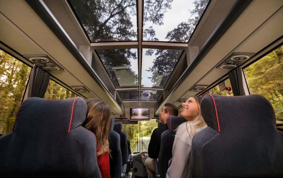 From Te Anau: Milford Sound Premium Bus Tour and Cruise - Key points to know before you go
