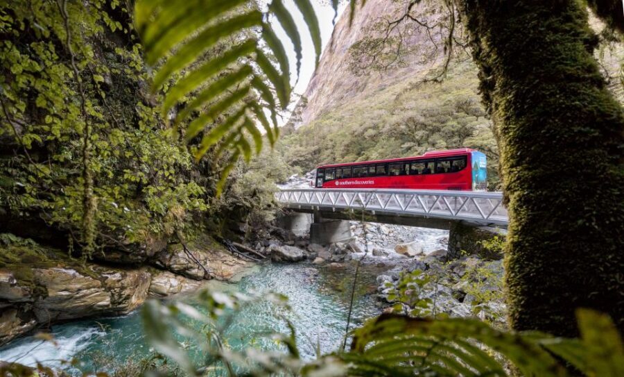 From Te Anau: Milford Sound Premium Bus Tour and Cruise - Milford Sound Nature Cruise: waterfalls, peaks, and real deck time