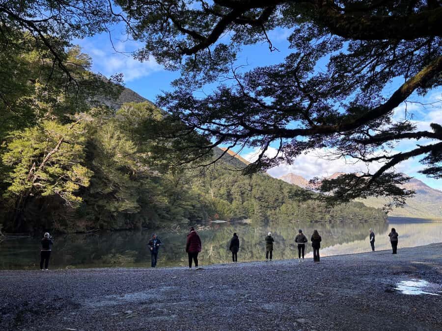 From Te Anau: Milford Sound Small-Group Tour Including Lunch - Price and value: is $178 per person fair?