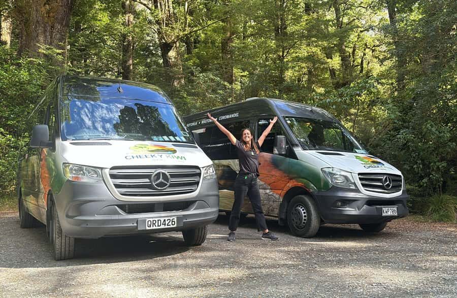 From Te Anau: Milford Sound Small-Group Tour Including Lunch - Lunch, snacks, and what to pack for Fiordland weather