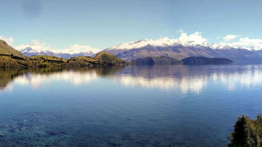 From Wanaka: Ruby Island 1-Hour Cruise and Photo Walk - Photo-stop scenery: plants in front, mountains behind