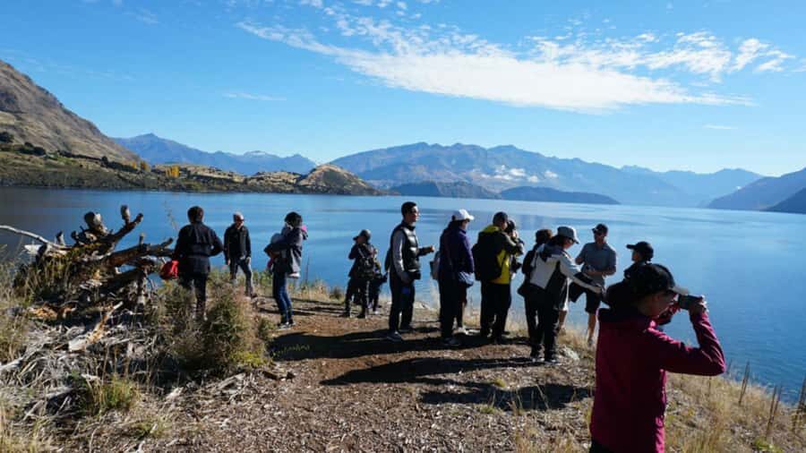 From Wanaka: Ruby Island 1-Hour Cruise and Photo Walk - Price and value: $29 for a 1-hour taste with guided history