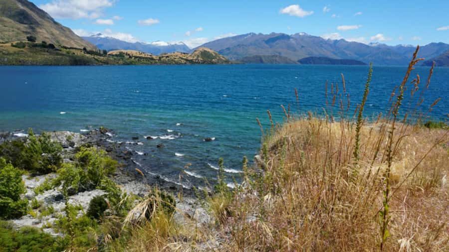 From Wanaka: Ruby Island 1-Hour Cruise and Photo Walk - Boarding at the Wanaka lakefront: Old Town Jetty, not the marina