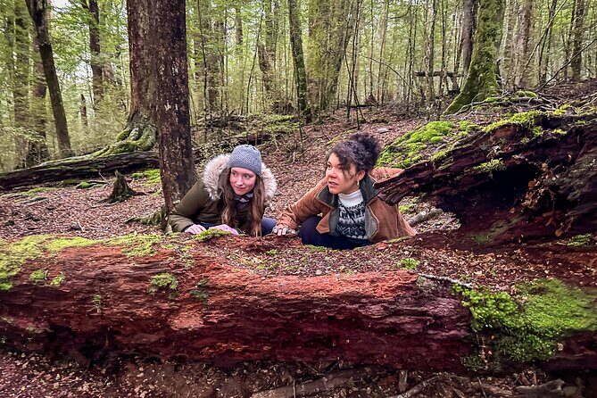 Full Day Lord of the Rings Mavora Lakes Adventure! - Mavora Lakes Park: the Fangorn Forest two-toe moment