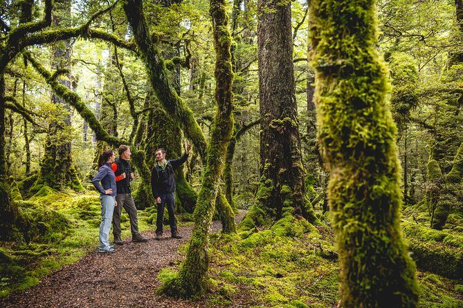 Full-Day Milford Sound Tour with Cruise and Walks from Te Anau - Milford Sound without the driver stress from Te Anau
