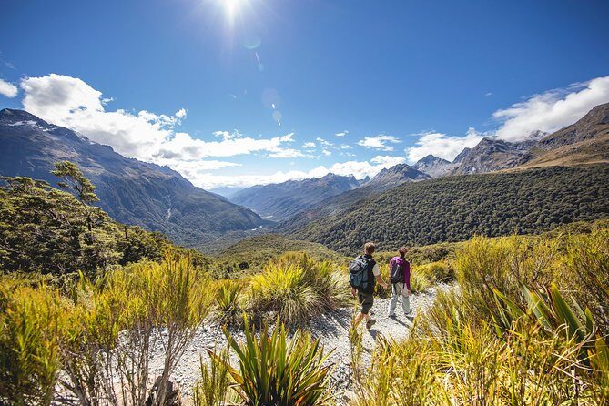 Full-Day Milford Sound Tour with Cruise and Walks from Te Anau - The boat cruise: small vessel, waterfalls up close, and time to actually look