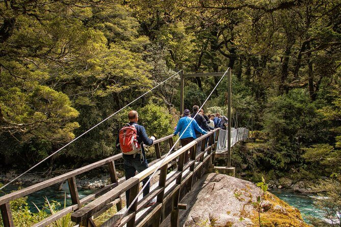 Full-Day Milford Sound Tour with Cruise and Walks from Te Anau - Picnic lunch and comfort on a 9-hour day