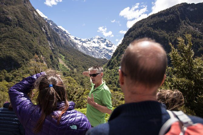 Full-Day Milford Sound Tour with Cruise and Walks from Te Anau - The Milford Road route: panoramic stops that make the drive worth it