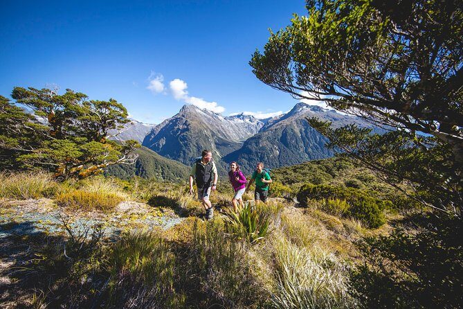 Full-Day Routeburn Track Key Summit Guided Walk from Te Anau - Key points to know before you go
