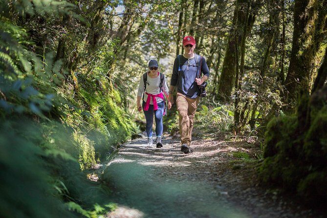 Full-Day Routeburn Track Key Summit Guided Walk from Te Anau - Routeburn to Key Summit in a single day: what you’re really buying