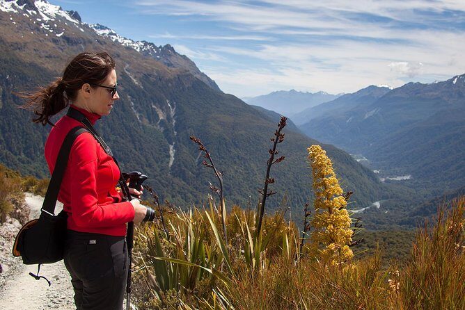 Full-Day Routeburn Track Key Summit Guided Walk from Te Anau - Timing and pacing: how a 7.5-hour day fits real bodies