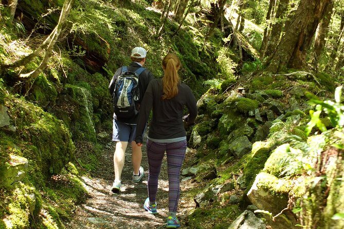 Full-Day Small-Group Routeburn Valley Hike - Routeburn Valley From Queenstown: Worth $293.34?