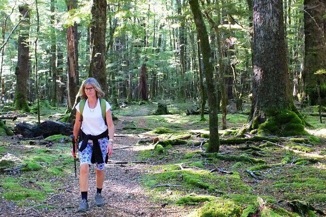Full-Day Small-Group Routeburn Valley Hike - Stop 3: Glenorchy for Paradise Valley and Dart River Valley Views