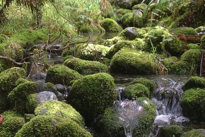 Full-Day Small-Group Routeburn Valley Hike - Stop 1: Lake Wakatipu Views Before You Hit the Trail
