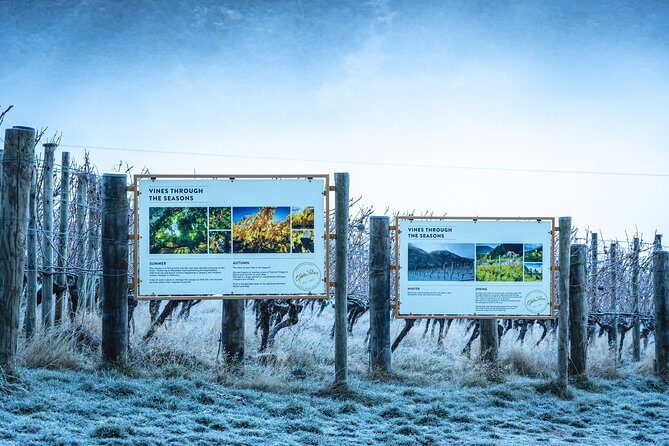 Gibbston Valley Wines - Winery Tour - A tight 45 minutes: how this tour fits your Queenstown day