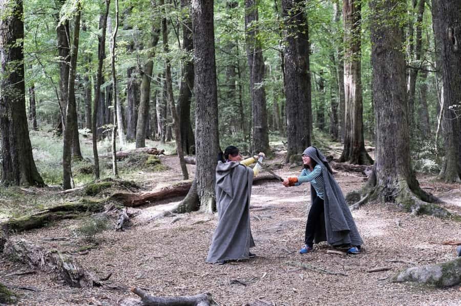 Glenorchy: 4WD Lord Of the Rings Tour Half-Day - Price and value: what $167 buys you (and what it doesn’t)