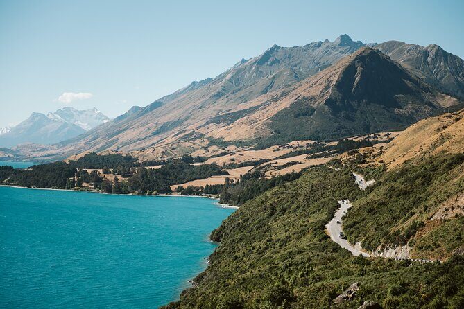 Glenorchy Kiwi Special Tour - Who Should Book This and Who Might Want Something Longer