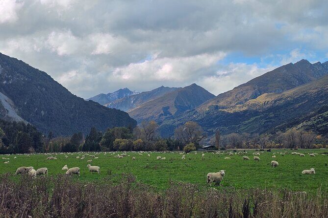 Glenorchy Private Day Trip from Queenstown: TravelnGo - The Pigeon and Pig Islands pause: calm water, photo-friendly framing