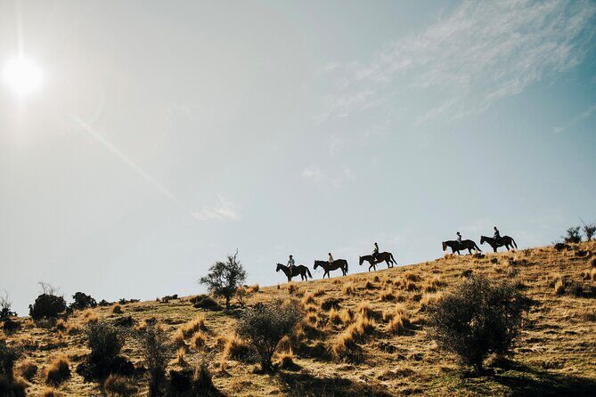 Gold Discovery Trail Horse Trek Cardrona - Most popular! - Gold Discovery Trail Horse Trek: what I’d focus on first