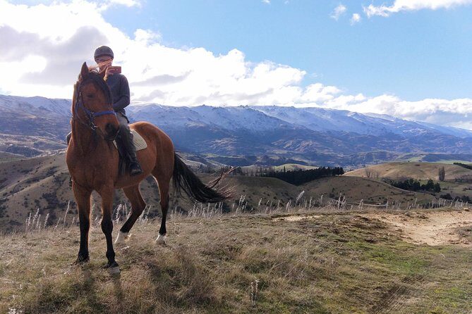 Golden Hills Horse Trek in Central Otago - Two Hours That Actually Feel Like a Mini Adventure