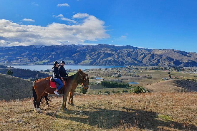 Golden Hills Horse Trek in Central Otago - Stop 1: Central Otago Hills and Orchard Country