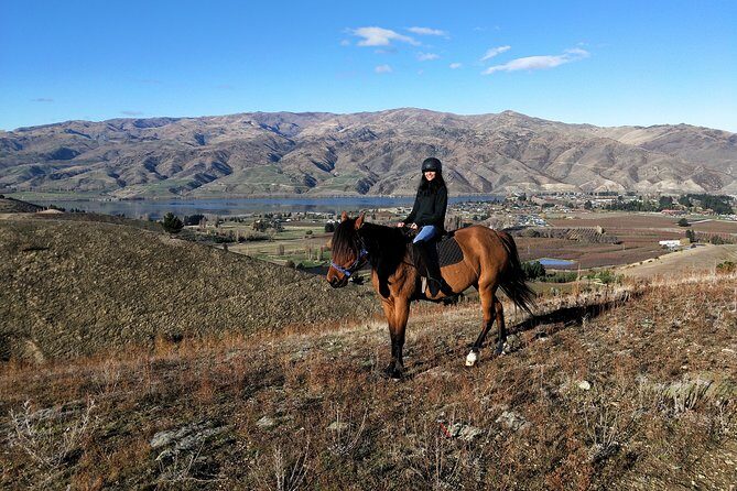 Golden Hills Horse Trek in Central Otago - Meeting in Cromwell: How to Set Yourself Up for an Easy Start