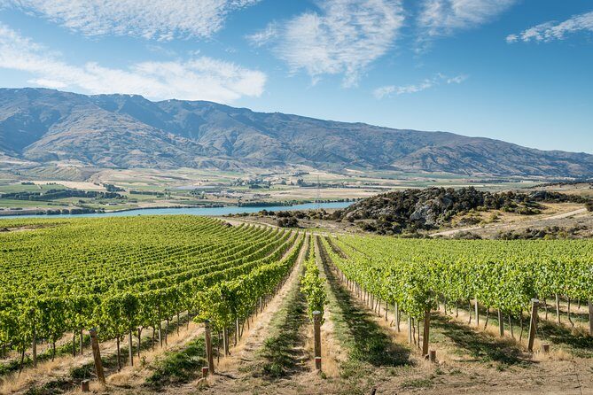 Gourmet Food and Wine Tour Queenstown All-Inclusive Tour - Key points worth knowing before you go