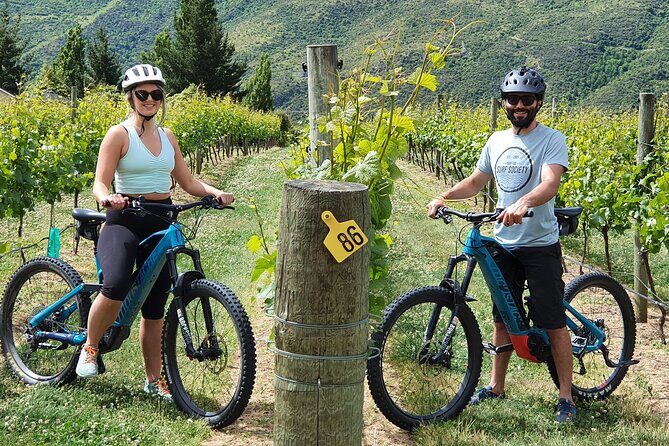 Guided eBike Wine Tour Ride to the Vines - Key highlights to look for