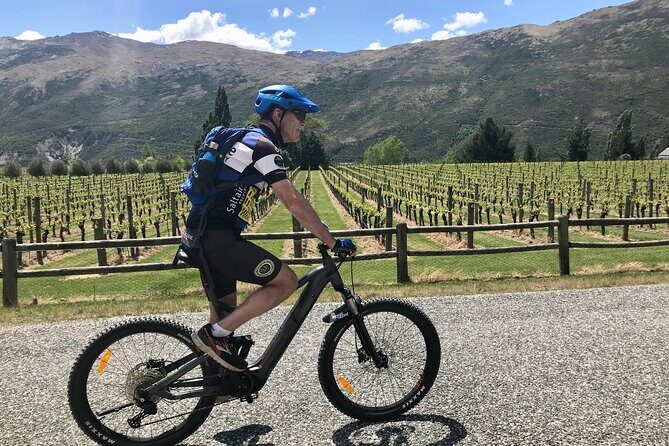 Guided eBike Wine Tour Ride to the Vines - Arrow Junction alpacas and goats: a quick break that feels real