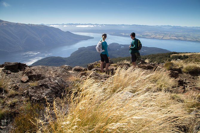 Guided Kepler Track Heli Hike - The alpine walk above the hut: tussock views with a weather reality check