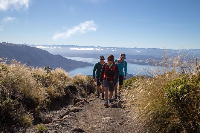 Guided Kepler Track Heli Hike - The Kepler Track descent: beech forest, limestone edges, and a long leg workout
