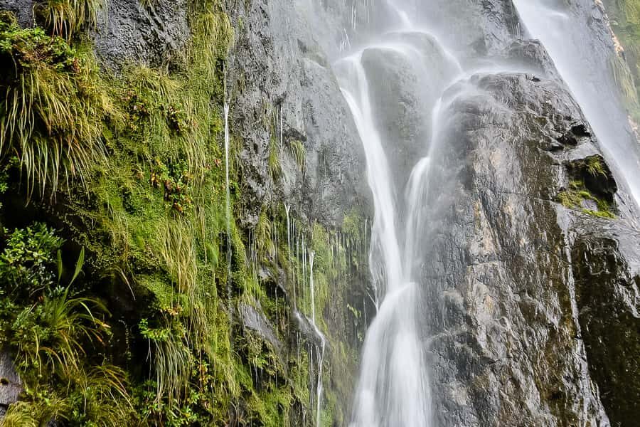 Guided Private Milford Sound Day Tour from Te Anau(Cruise In - A realistic take on timing and weather