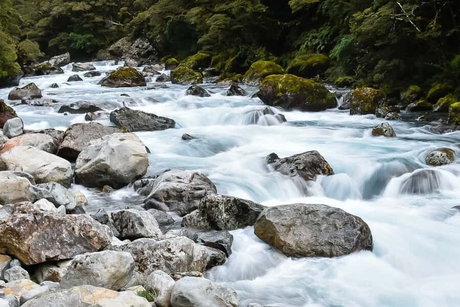Guided Private Milford Sound Day Tour from Te Anau(Cruise In - A private Milford Sound day starts with Te Anau, not a group scramble
